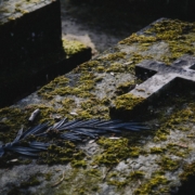 Cimetière Cimetière